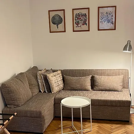 Apartment Slavikova 11 *